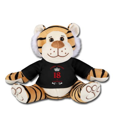 18e anniversaire  - est devenu 18 en lockdown