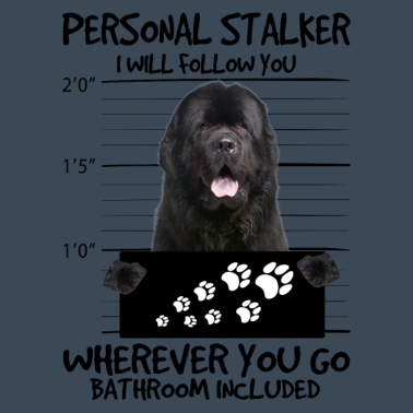 Zoom image Newfoundland