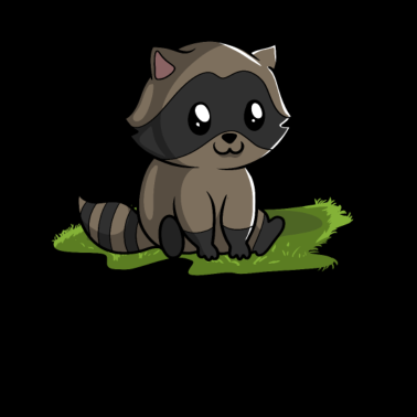 Zoom image Tvättbjörn