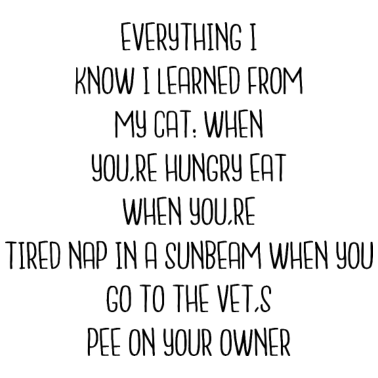 Zoom image accueil félin chat papa bday cathédrale propriétaire de chat