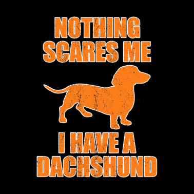 Zoom image Non ho un regalo bassotto