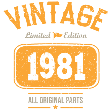 Zoom image vintage 1981 gåva humor årsdag 41 år