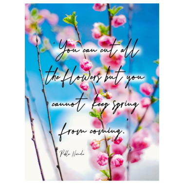 Zoom image Citation de Neruda pour la saison printanière