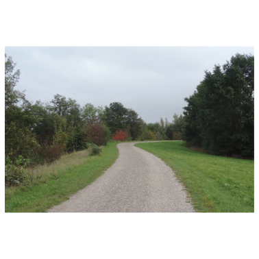 Zoom image Path through Nature Deco Photography