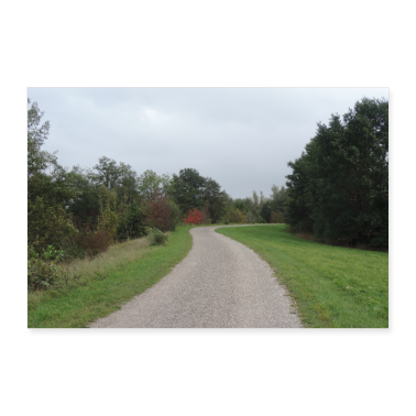 birthday saying  - Path through Nature Deco Photography