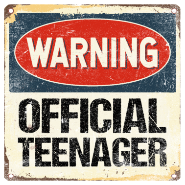 Zoom image Officiel teenager 13 års fødselsdag 13 år