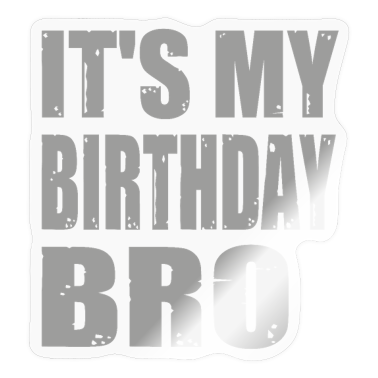 urodzinowe powiedzenie  - To moje urodzinowe przyjęcie urodzinowe Bro dla młodzieży chłopięcej