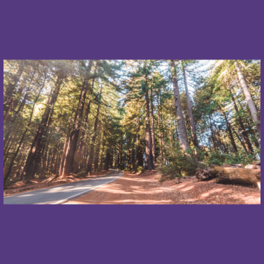 Zoom image Esto es una prueba