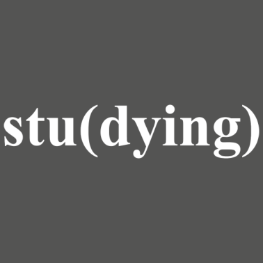 Zoom image Opiskelun opiskelijan elämänidea