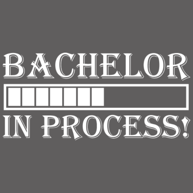 Zoom image Bachelor in proces studie studie cadeau