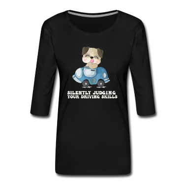 Test  - Stille Beurteilung der eigenen Fahrkünste Fahrlehr