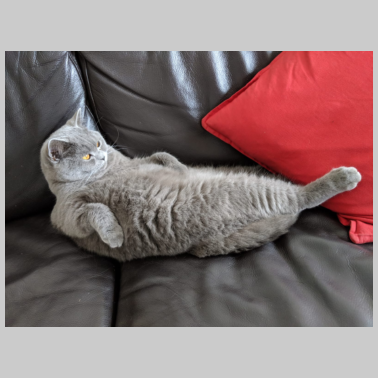 Zoom image Test TEst