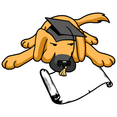 Zoom image Dog Uni Study School Lär sig skola lämnar certifikat