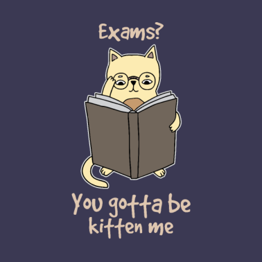 Zoom image Studerende katt