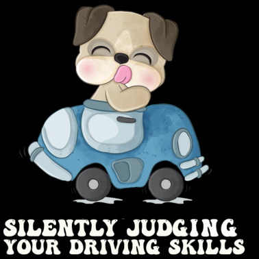 Zoom image Stille Beurteilung der eigenen Fahrkünste Fahrlehr