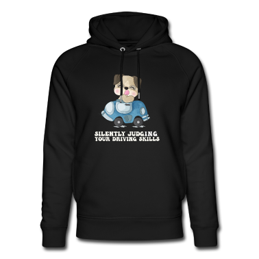 Test  - Stille Beurteilung der eigenen Fahrkünste Fahrlehr