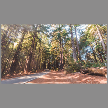 Zoom image Das ist ein Test