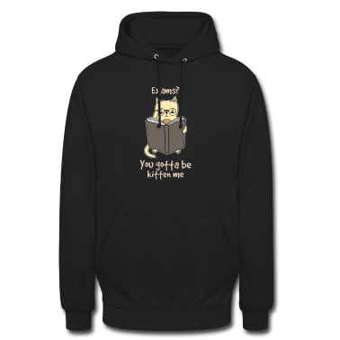 Testi  - Opiskelu kissa