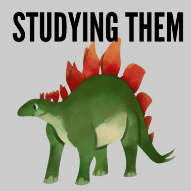 Zoom image STUDERE DEG