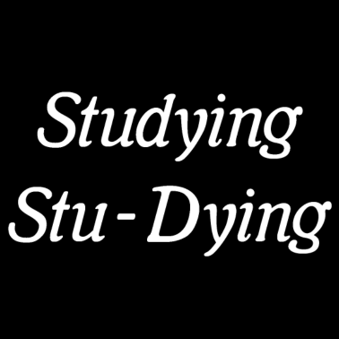 Zoom image Studerer, dør