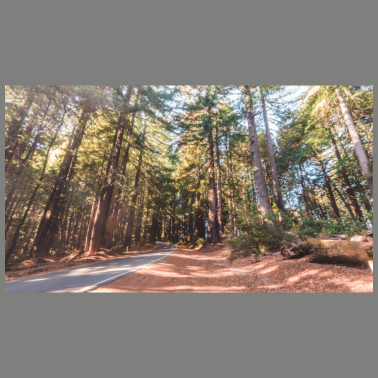 Zoom image Das ist ein Test