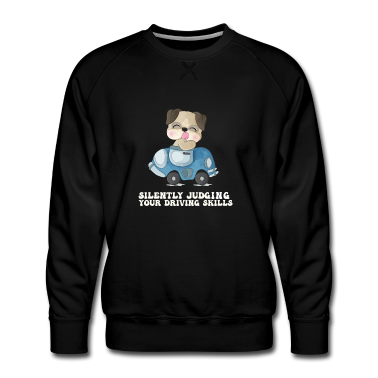 Test  - Stille Beurteilung der eigenen Fahrkünste Fahrlehr