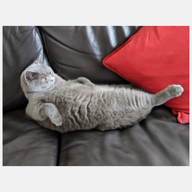 Zoom image Test TEst