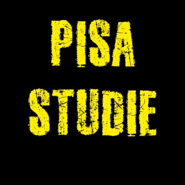 Zoom image Pisa-studie