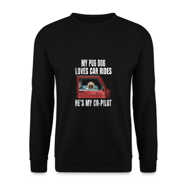 Test  - Min mops hund elsker bilture Han er min co-pilot - Pug