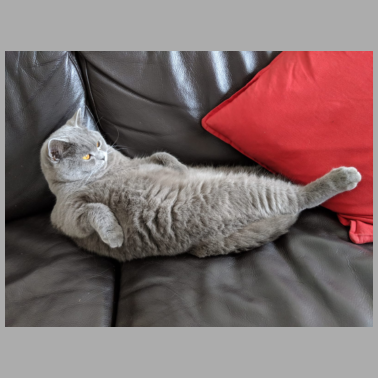 Zoom image Test TEst