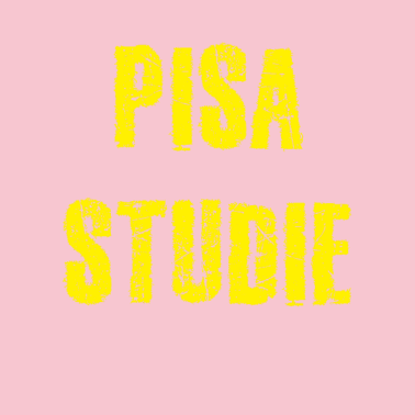 Zoom image Pisa-undersøgelse