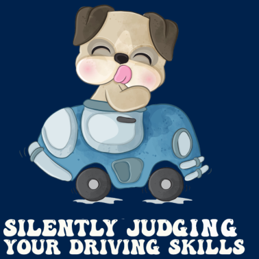 Zoom image Stille Beurteilung der eigenen Fahrkünste Fahrlehr