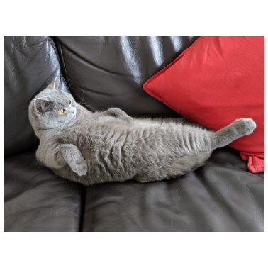 Zoom image Test TEst