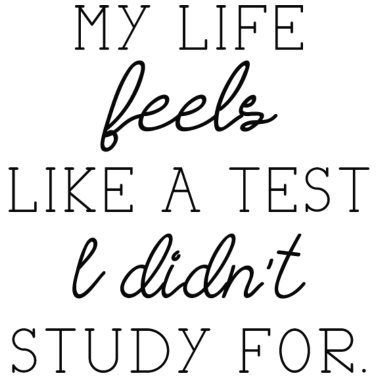 Zoom image Fühlt sich als Test ein