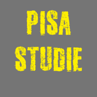 Zoom image Pisa-studie
